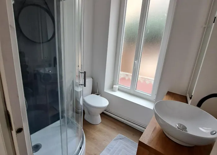 Апартаменты Centre-ville Proche Cure Thermale Виши